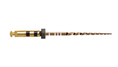ProTaper Gold Sterile 31mm F4 