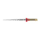 ProTaper Next Sterile 21mm X2 025/06 - Red 