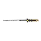 ProTaper Next Sterile 21mm X4 040/06 - Black 